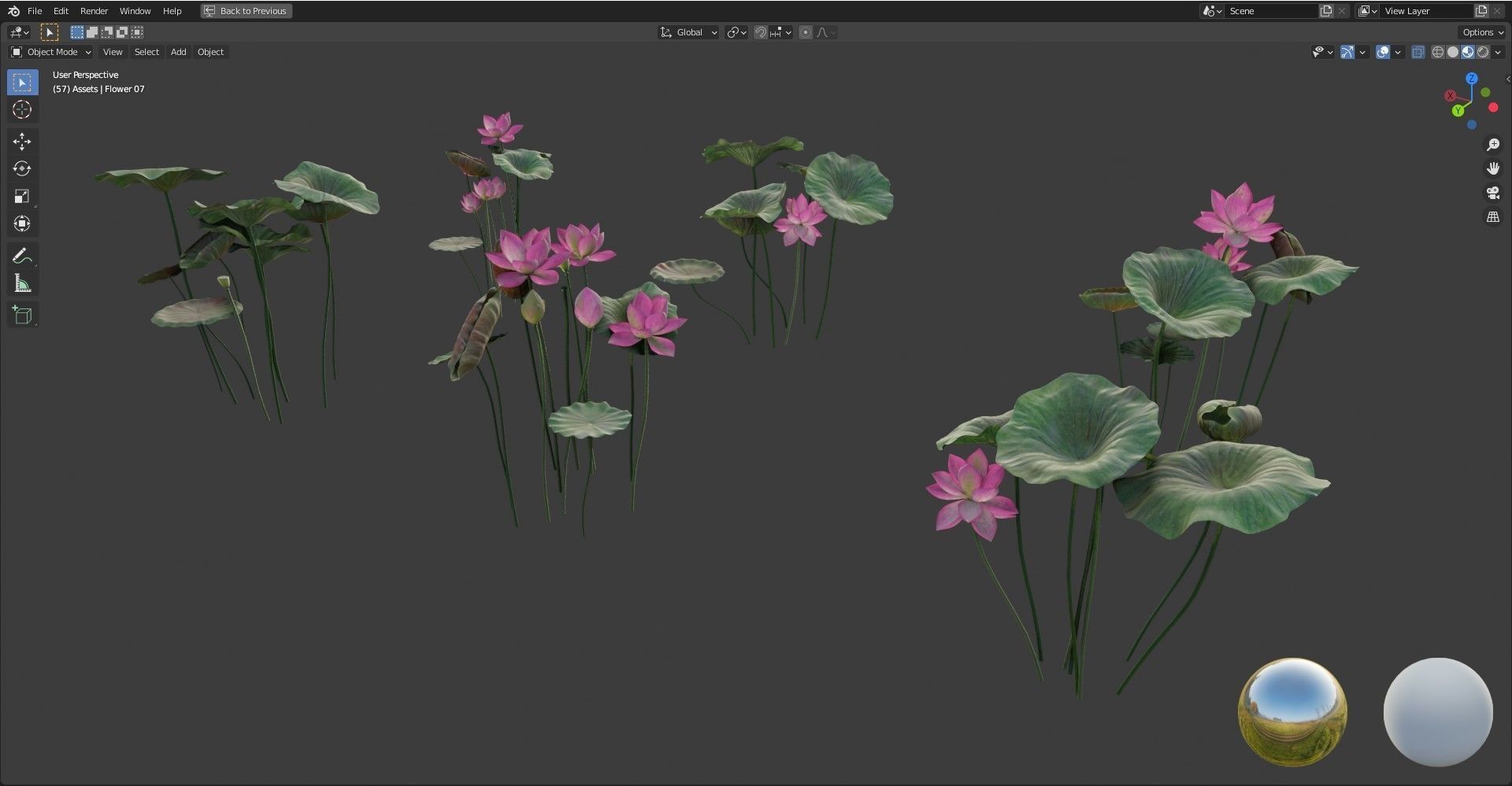 Realistic Lotus Art Low-poly 3D model_17