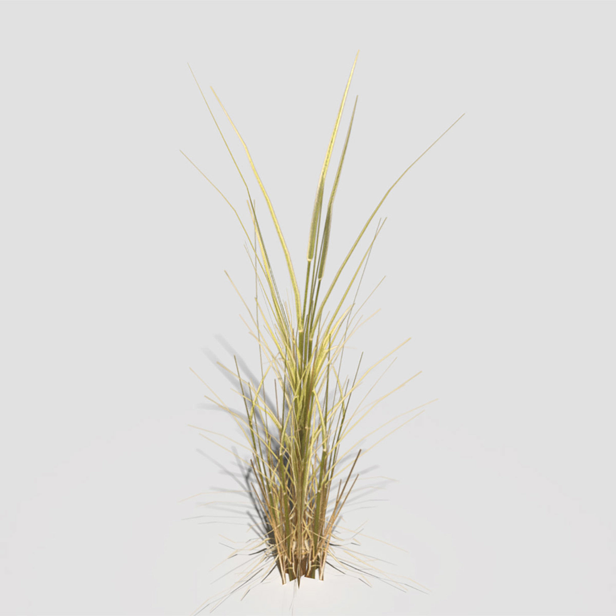 Low Poly Bent Grass Dry Pack Low-poly 3D model_10