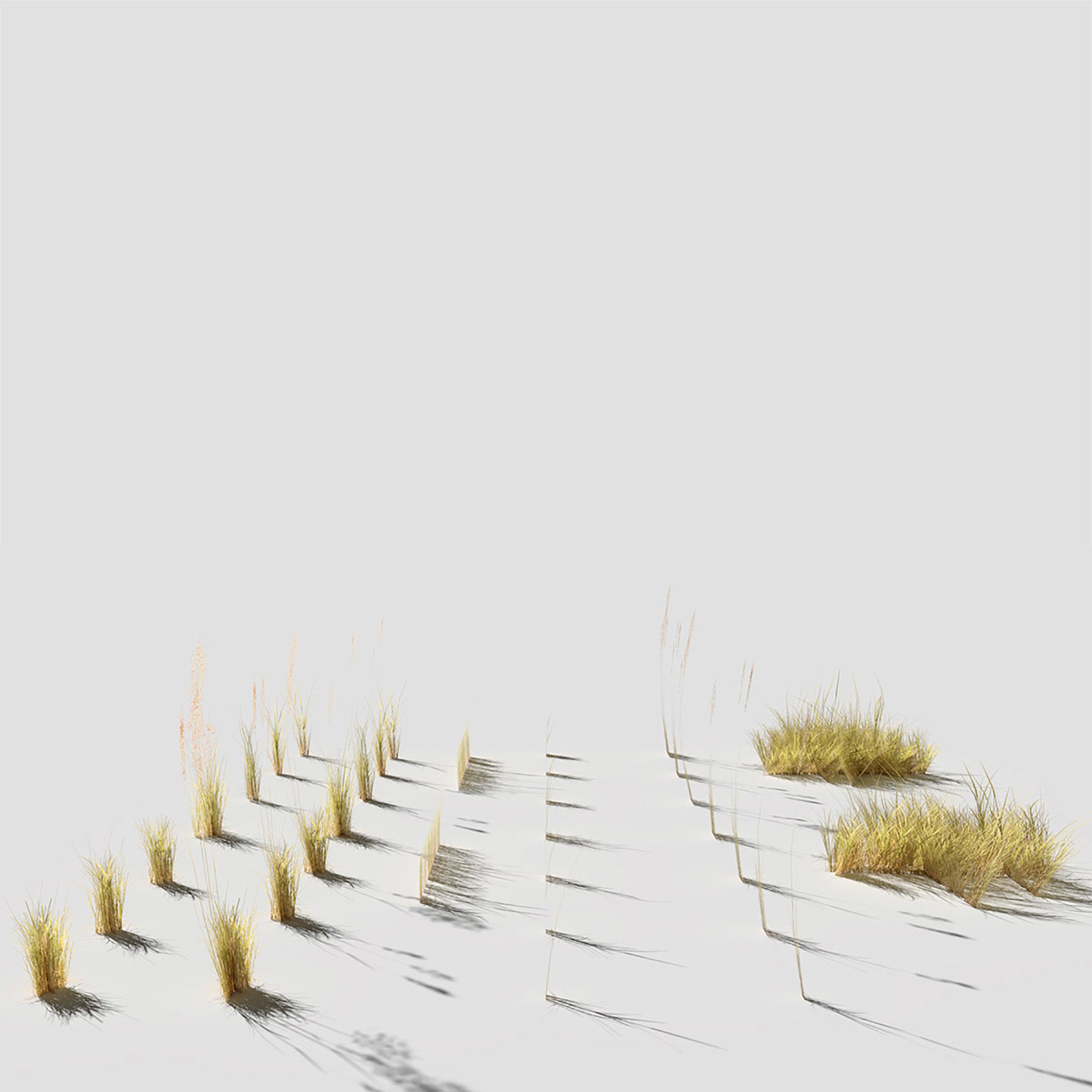 Low Poly Bent Grass Dry Pack Low-poly 3D model_2