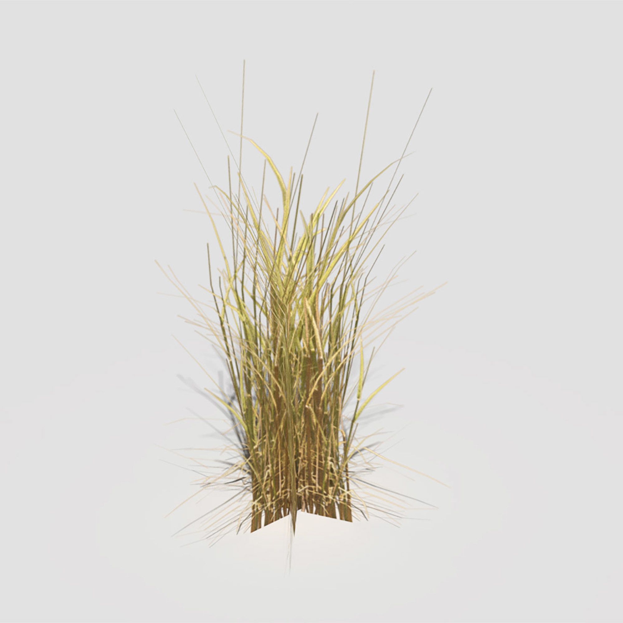 Low Poly Bent Grass Dry Pack Low-poly 3D model_18