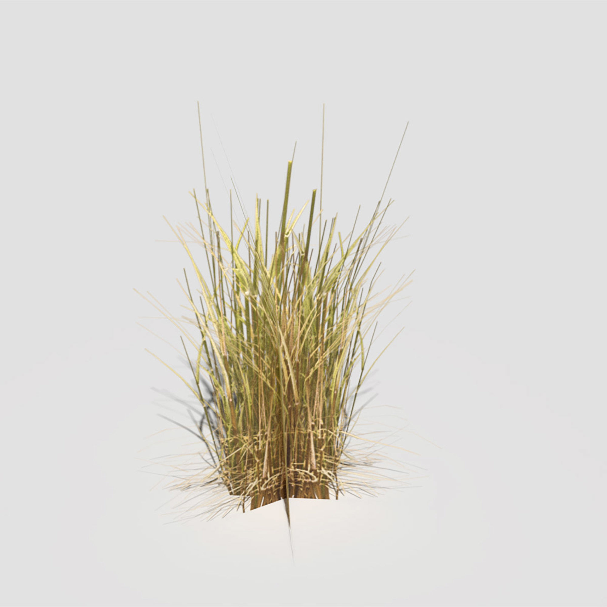 Low Poly Bent Grass Dry Pack Low-poly 3D model_20