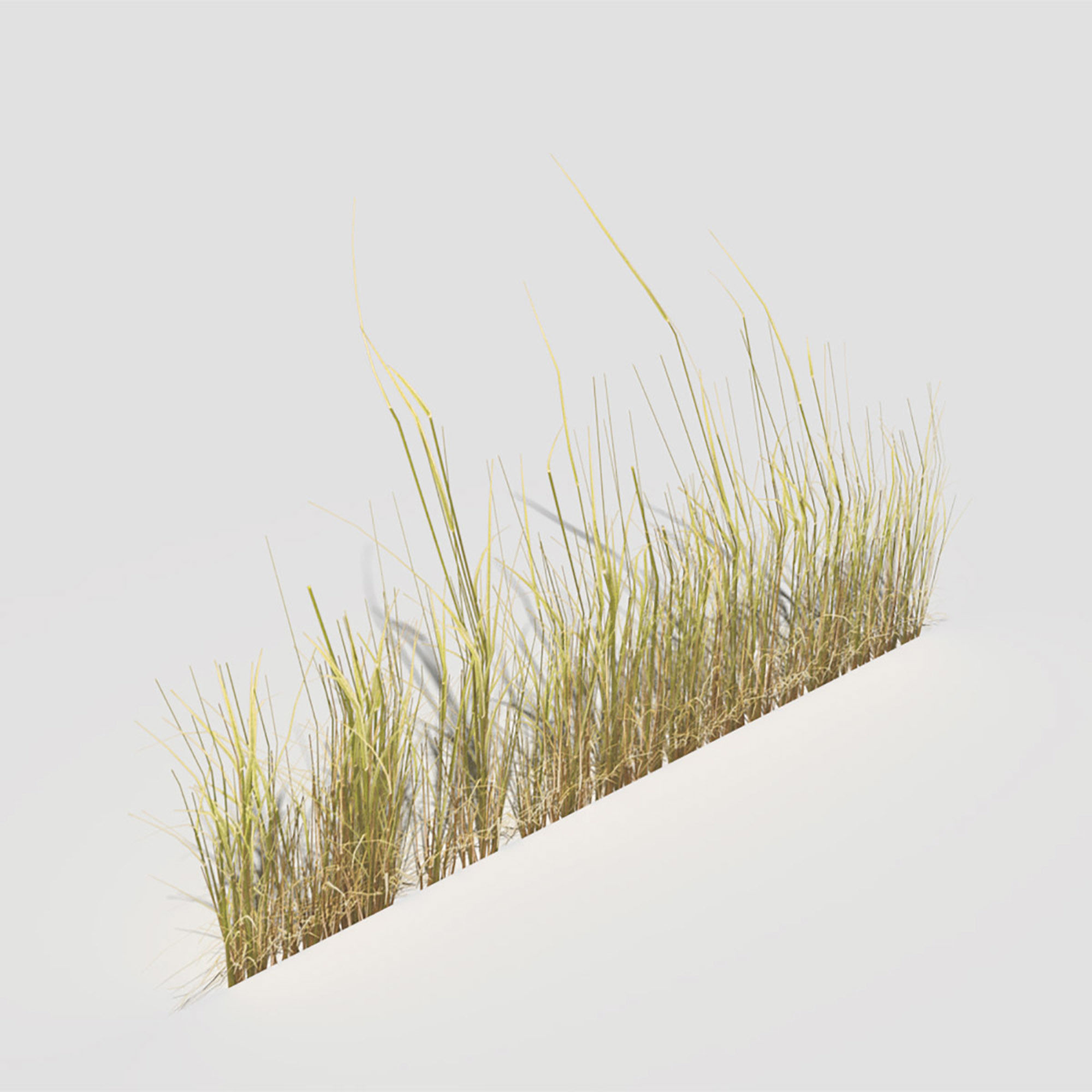 Low Poly Bent Grass Dry Pack Low-poly 3D model_35