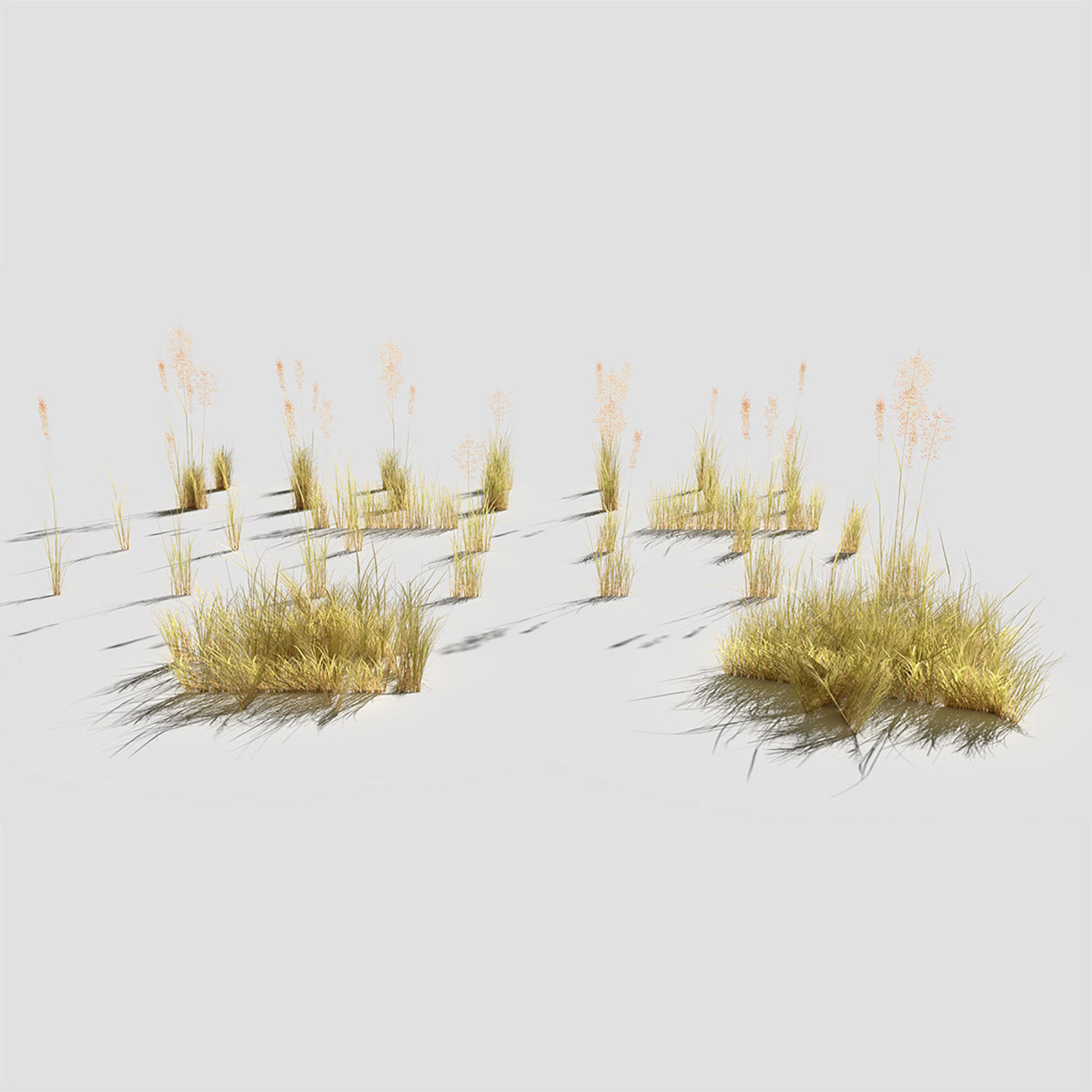 Low Poly Bent Grass Dry Pack Low-poly 3D model_4