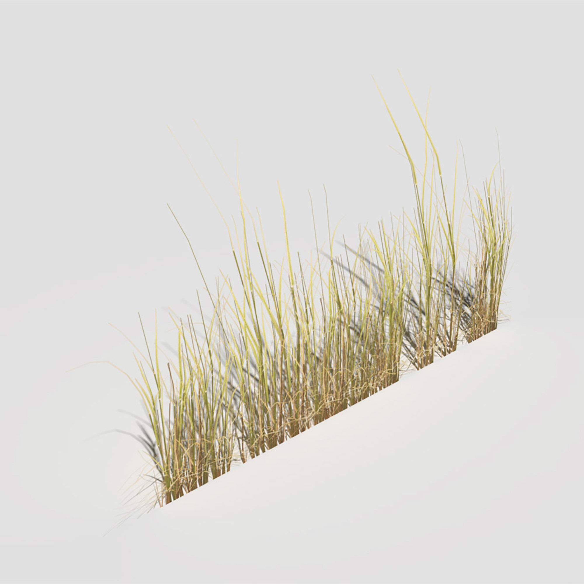 Low Poly Bent Grass Dry Pack Low-poly 3D model_37
