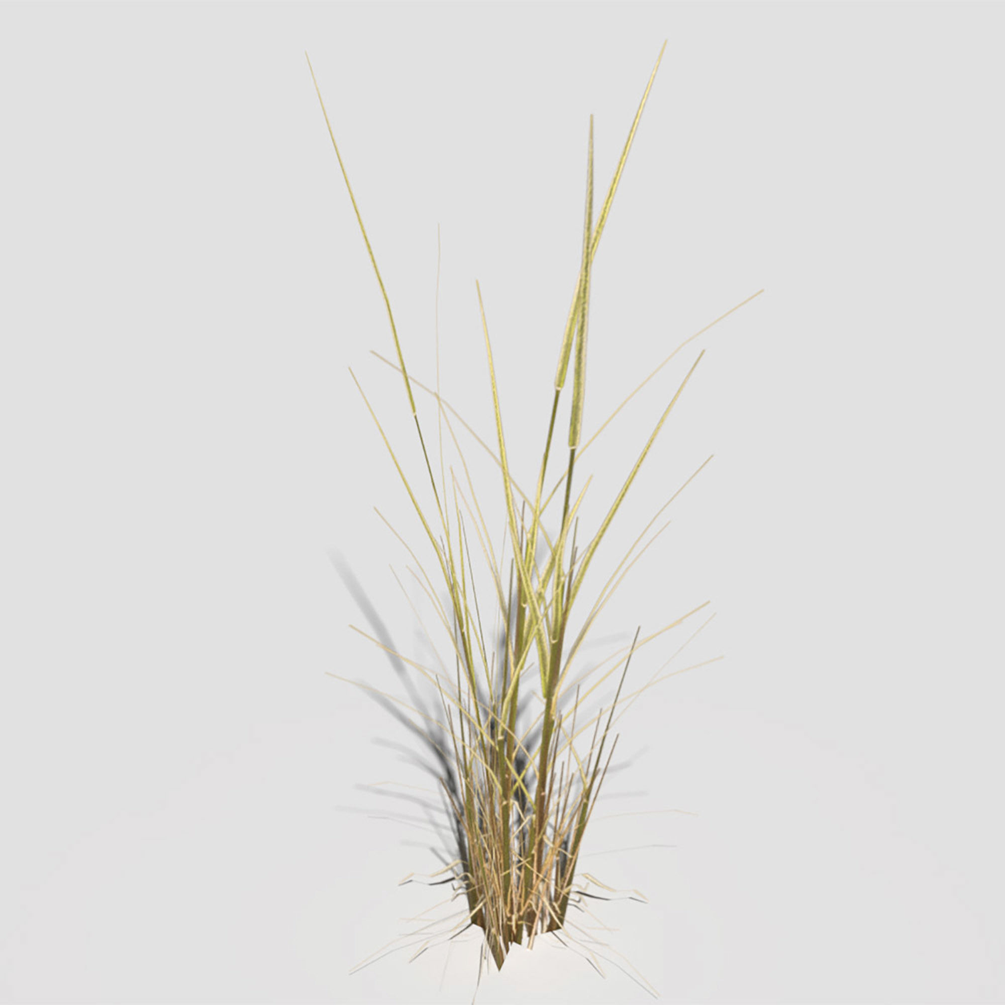 Low Poly Bent Grass Dry Pack Low-poly 3D model_8