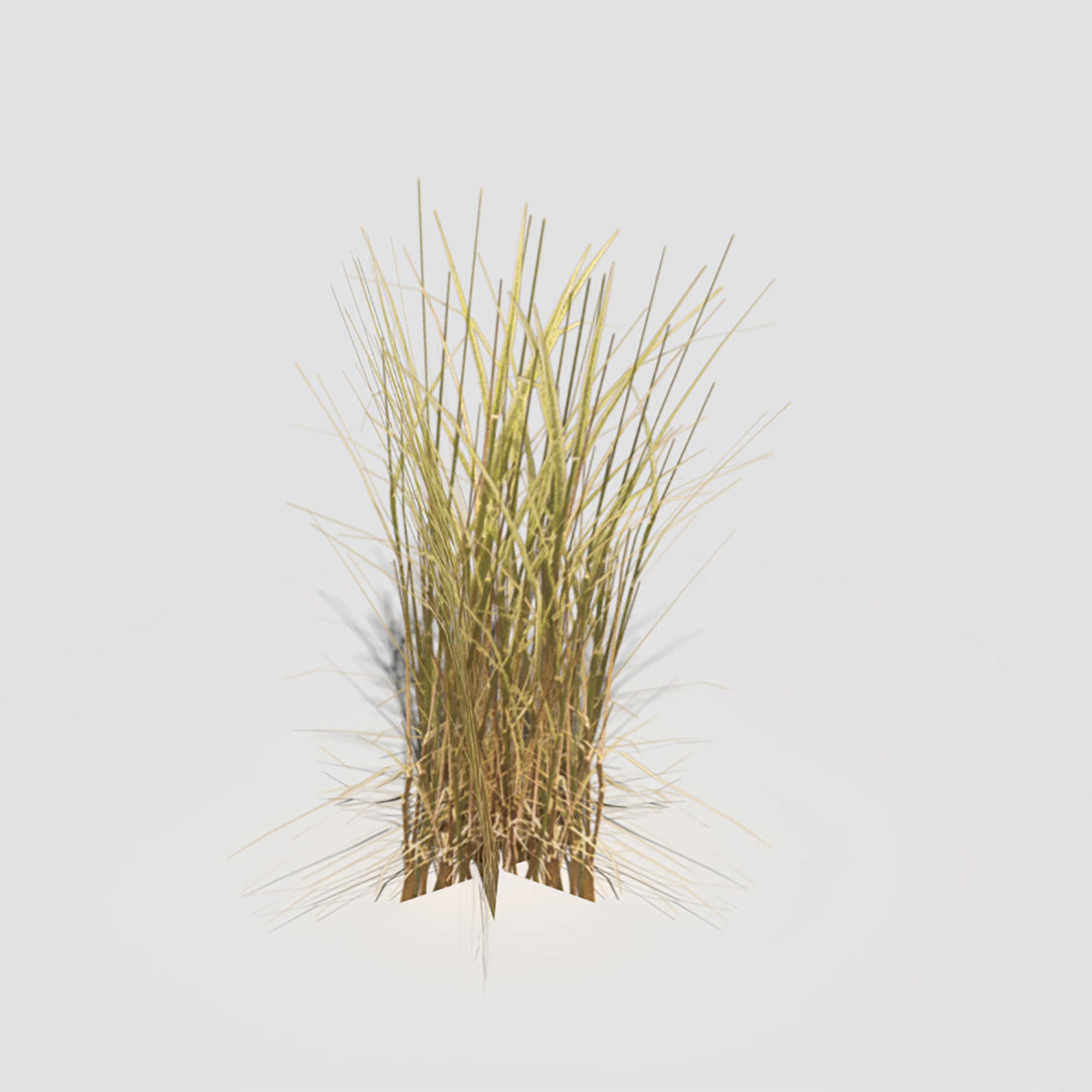 Low Poly Bent Grass Dry Pack Low-poly 3D model_16
