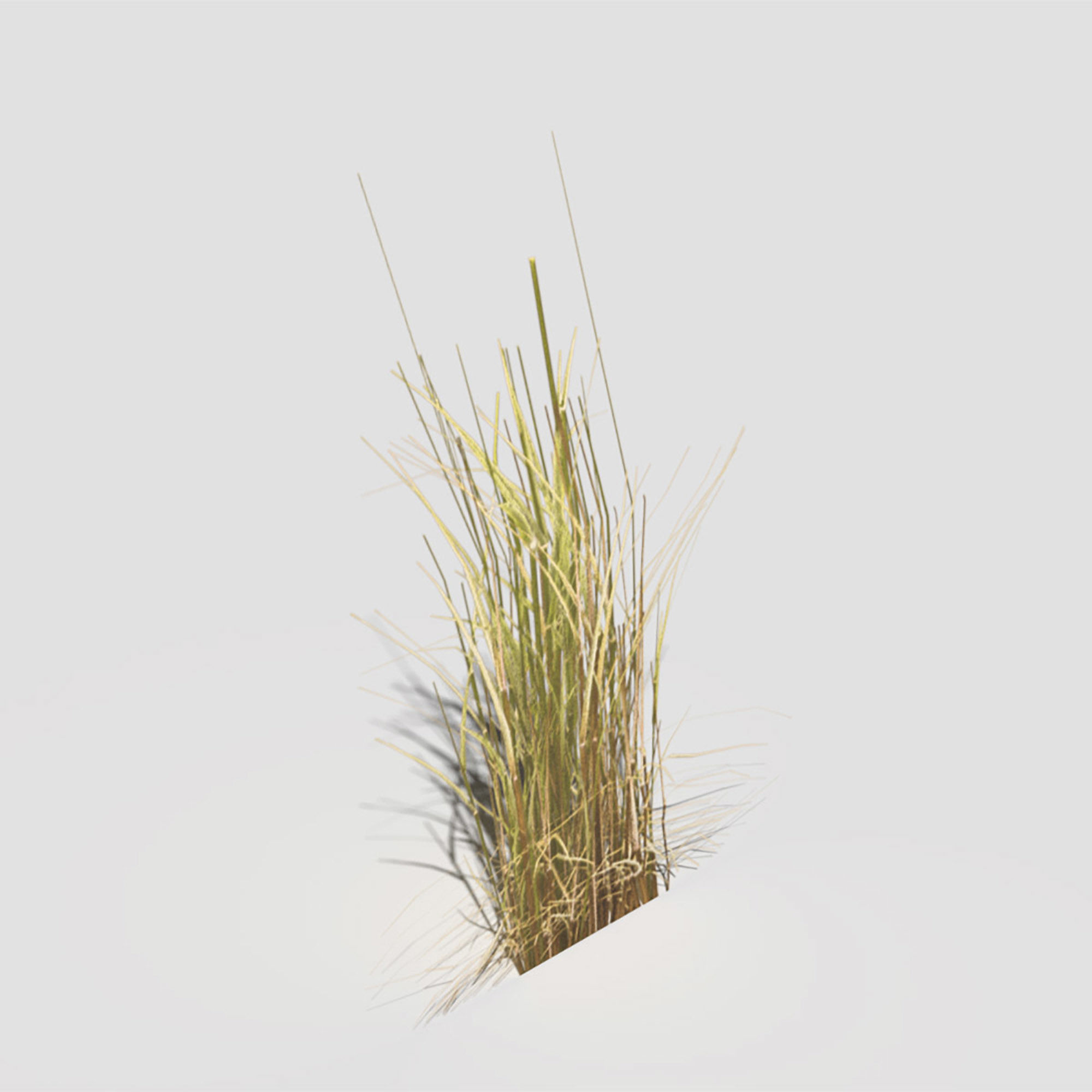 Low Poly Bent Grass Dry Pack Low-poly 3D model_39