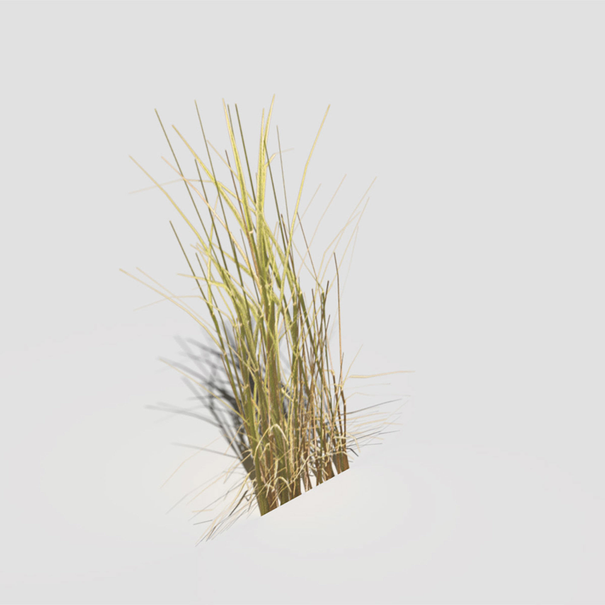 Low Poly Bent Grass Dry Pack Low-poly 3D model_43