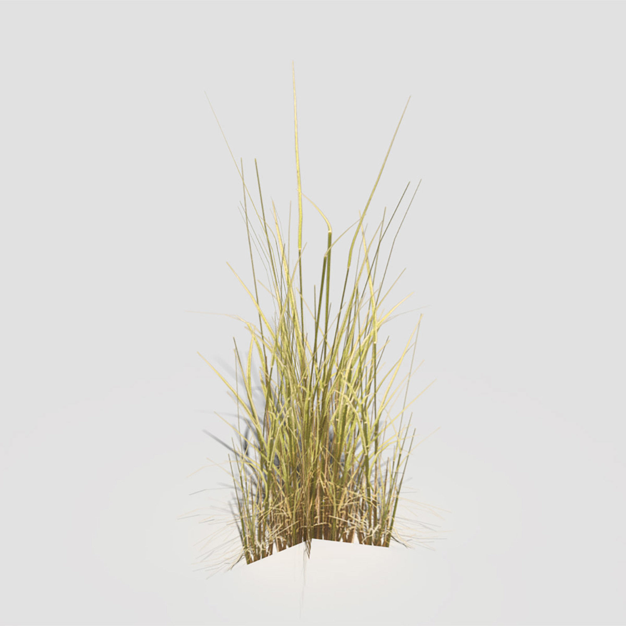 Low Poly Bent Grass Dry Pack Low-poly 3D model_14