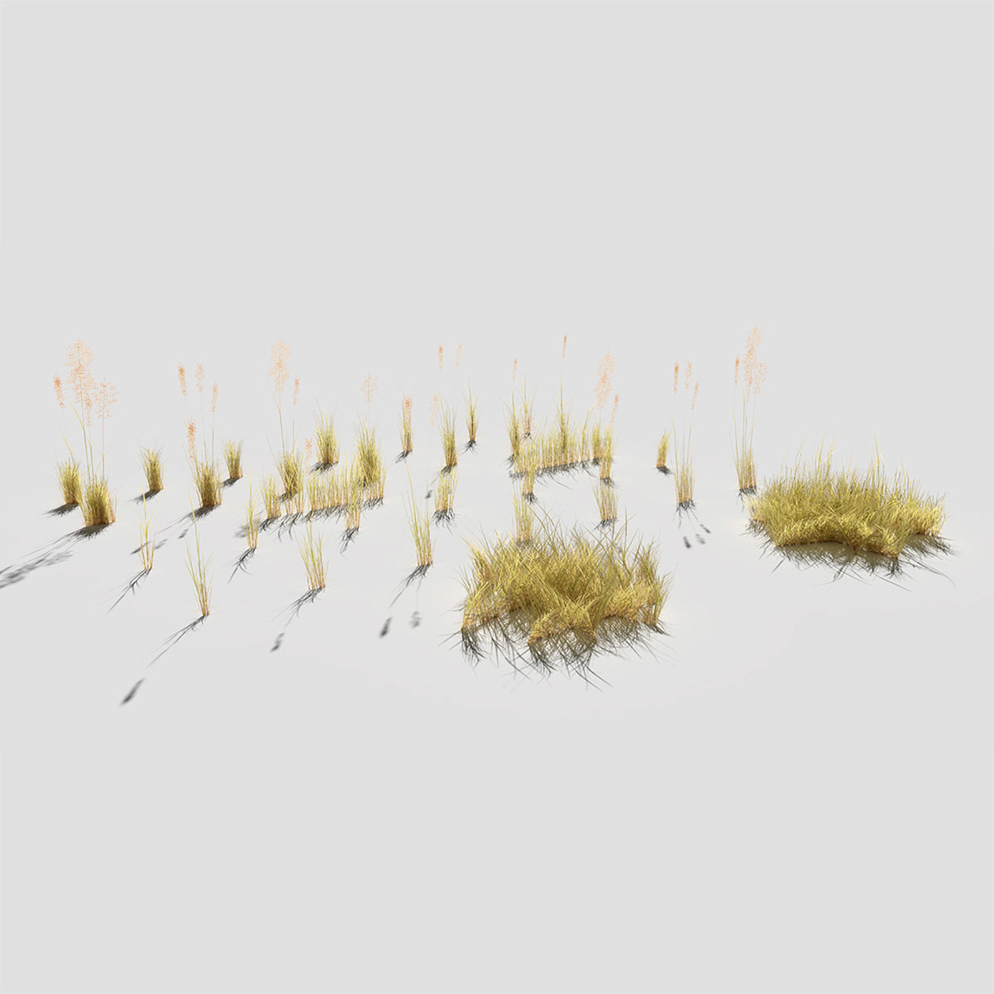 Low Poly Bent Grass Dry Pack Low-poly 3D model_3