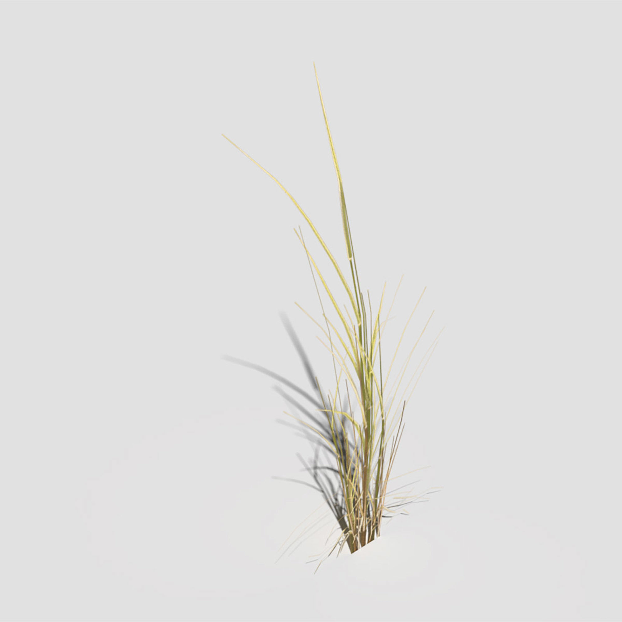 Low Poly Bent Grass Dry Pack Low-poly 3D model_49