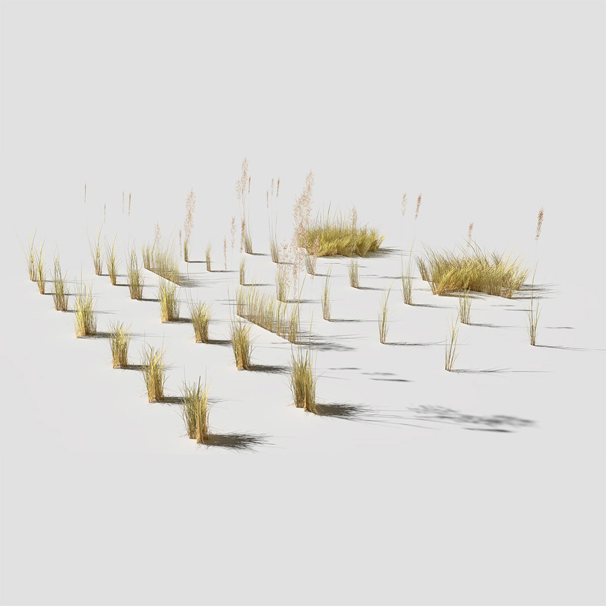 Low Poly Bent Grass Dry Pack Low-poly 3D model_1