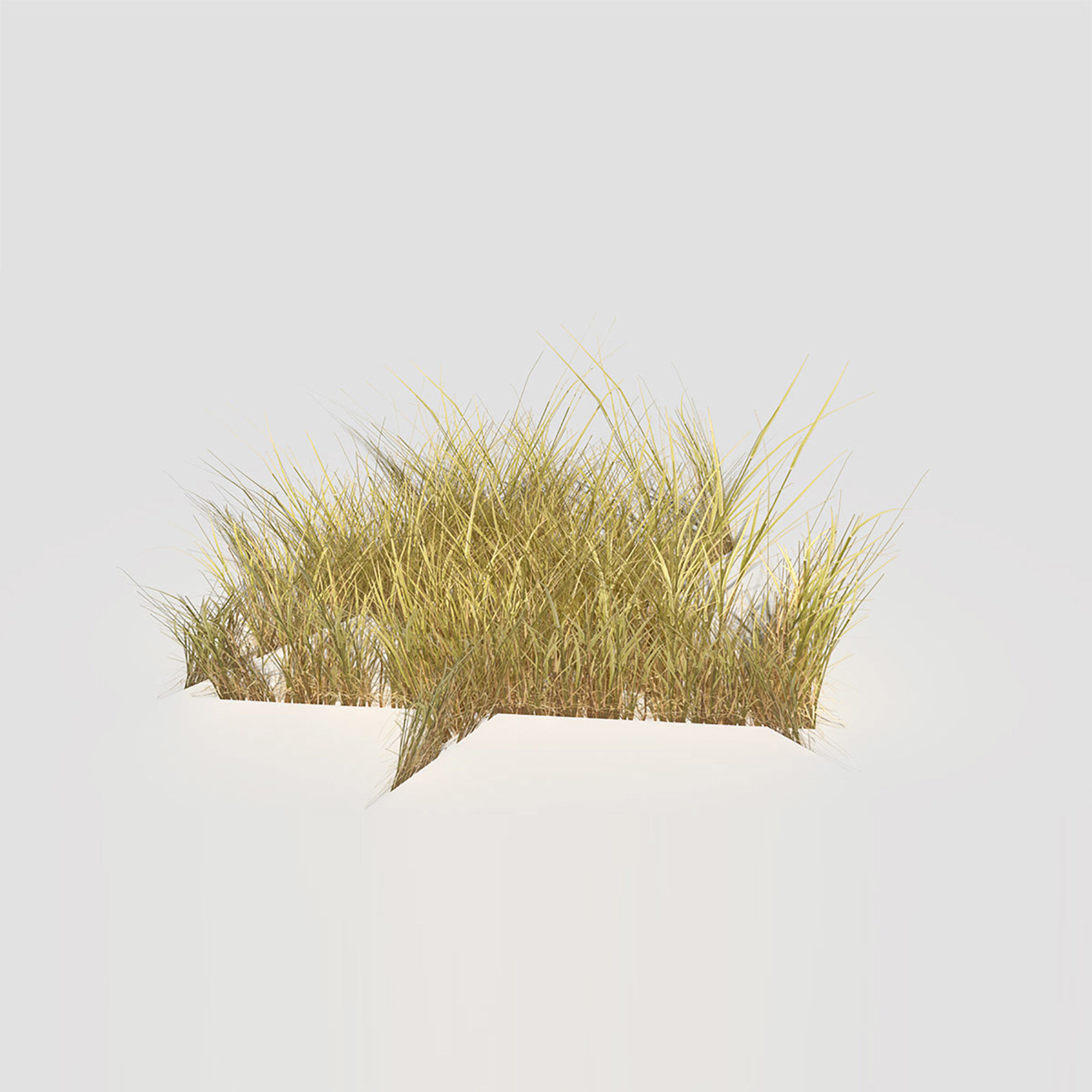 Low Poly Bent Grass Dry Pack Low-poly 3D model_69