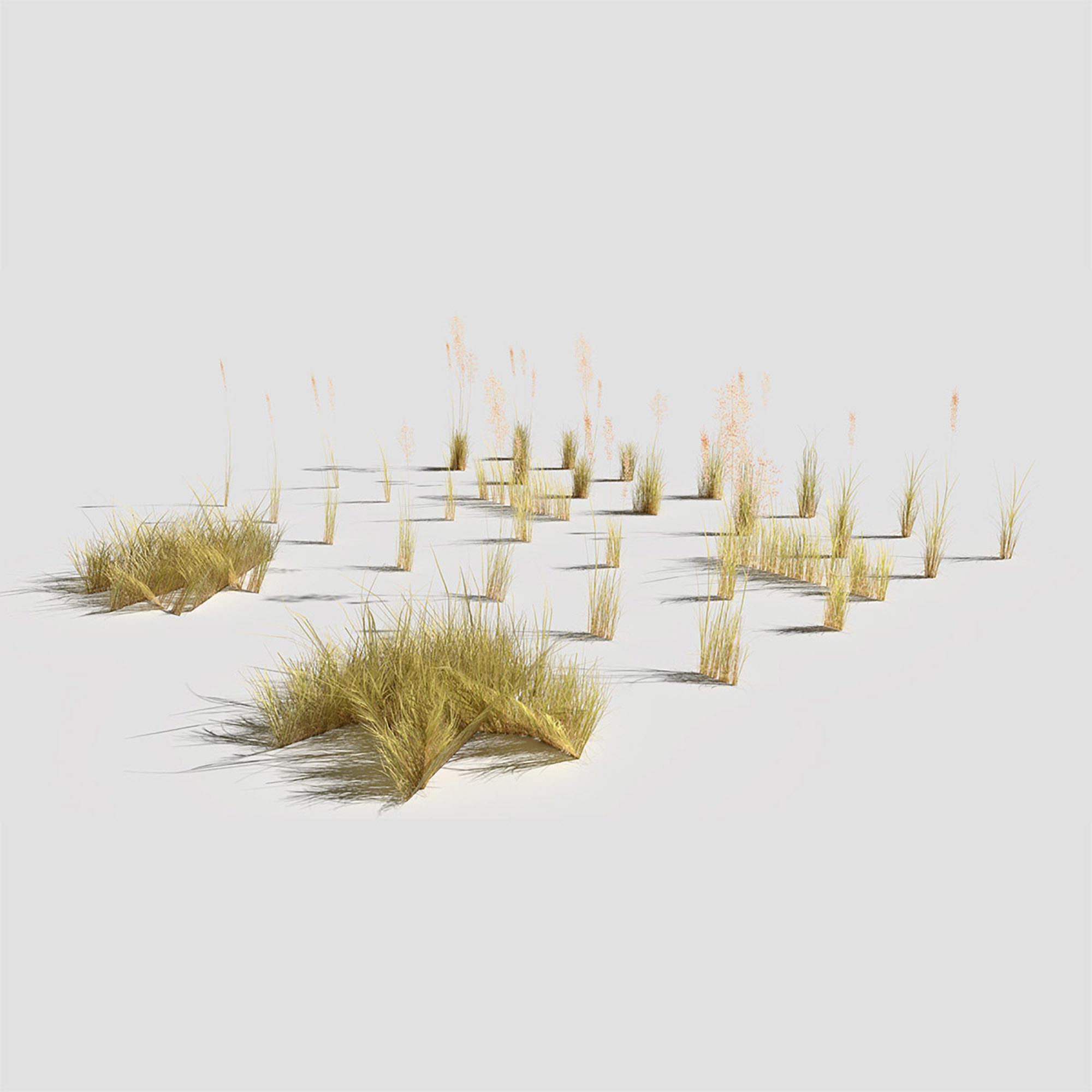 Low Poly Bent Grass Dry Pack Low-poly 3D model_5
