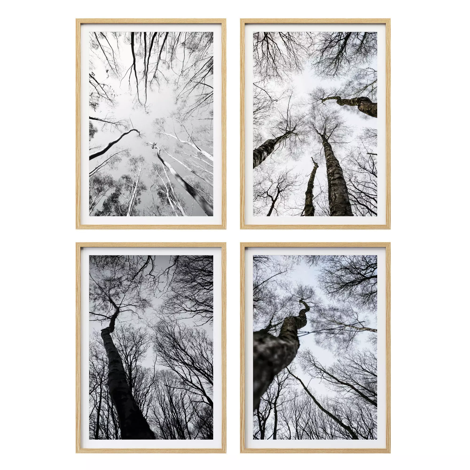 JUNIQE Forest winter 3D model_0