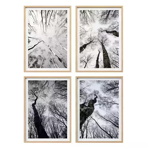 JUNIQE Forest winter