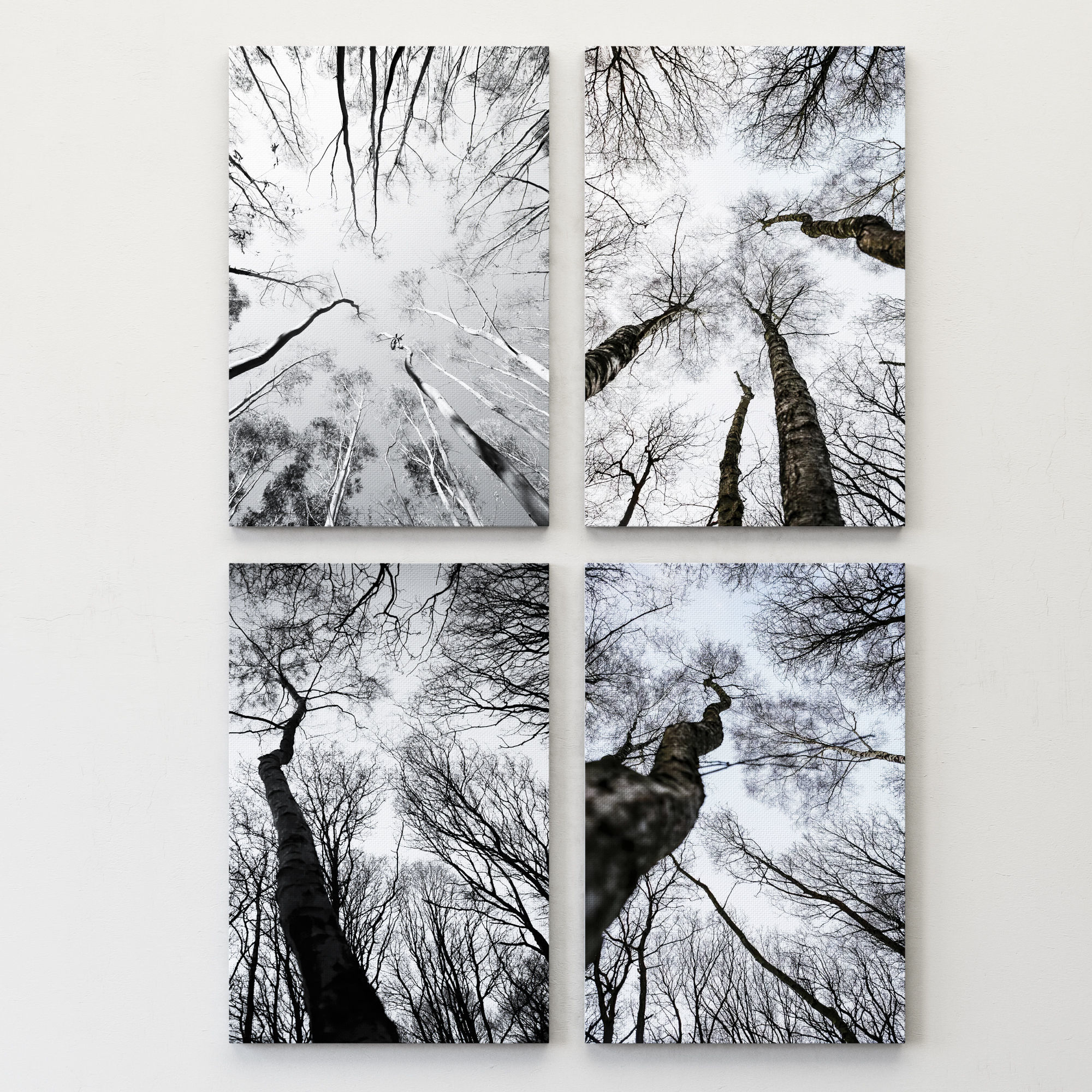 JUNIQE Forest winter 3D model_5