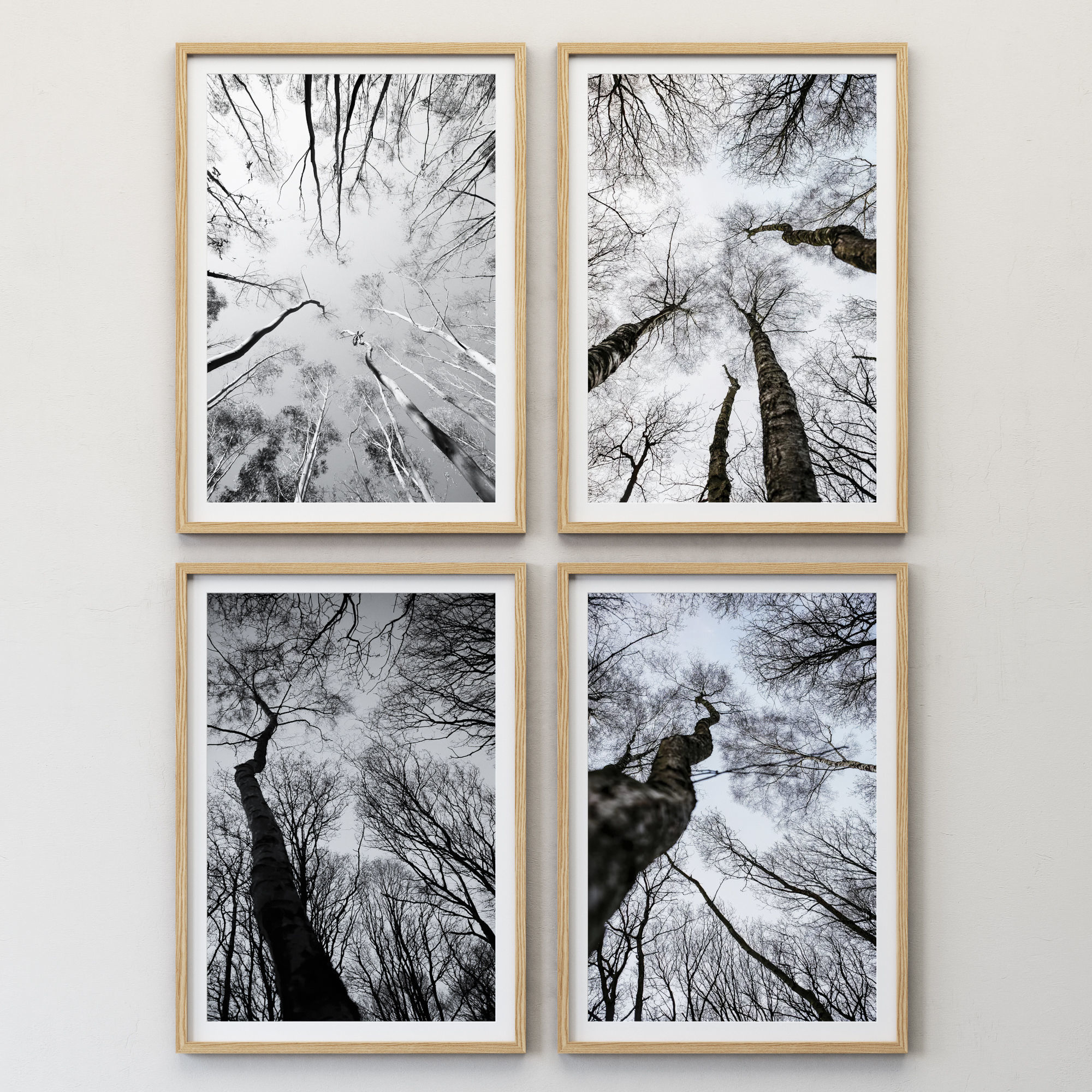 JUNIQE Forest winter 3D model_1