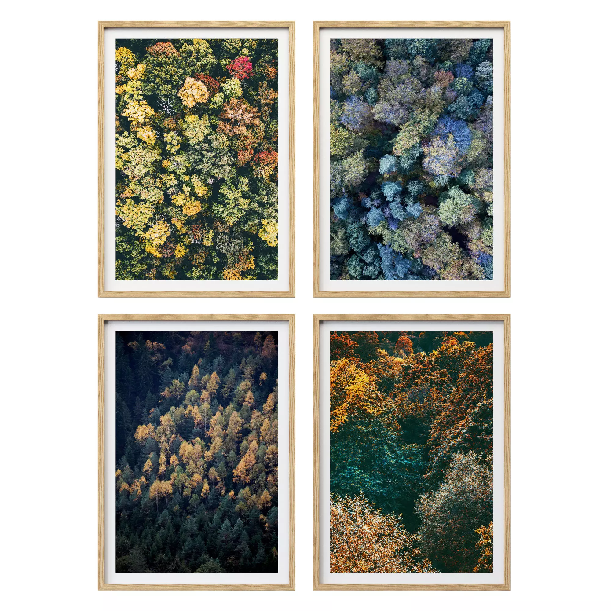 JUNIQE Forest print 3D model