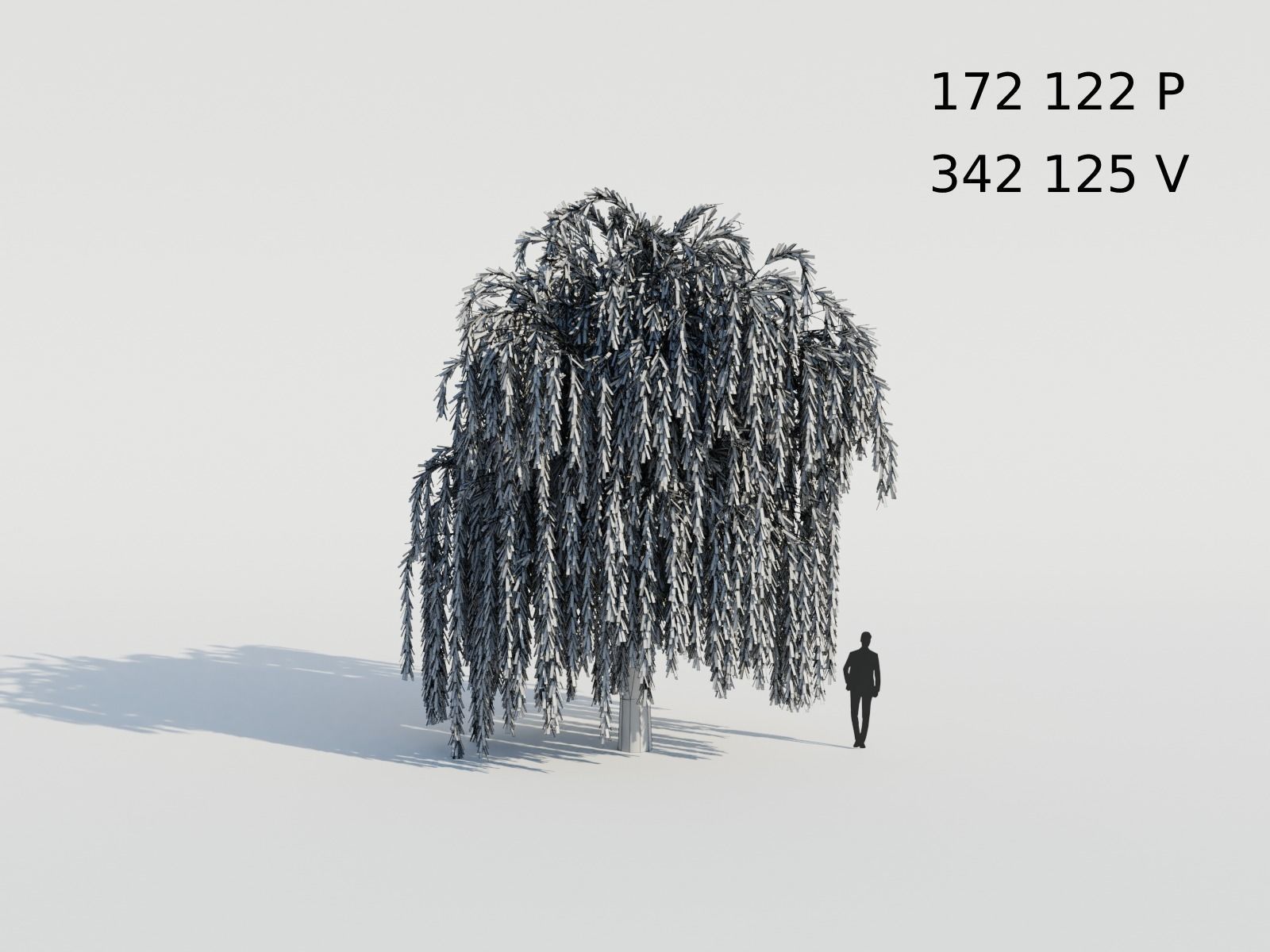 Weeping Willow Tree 3D model_6