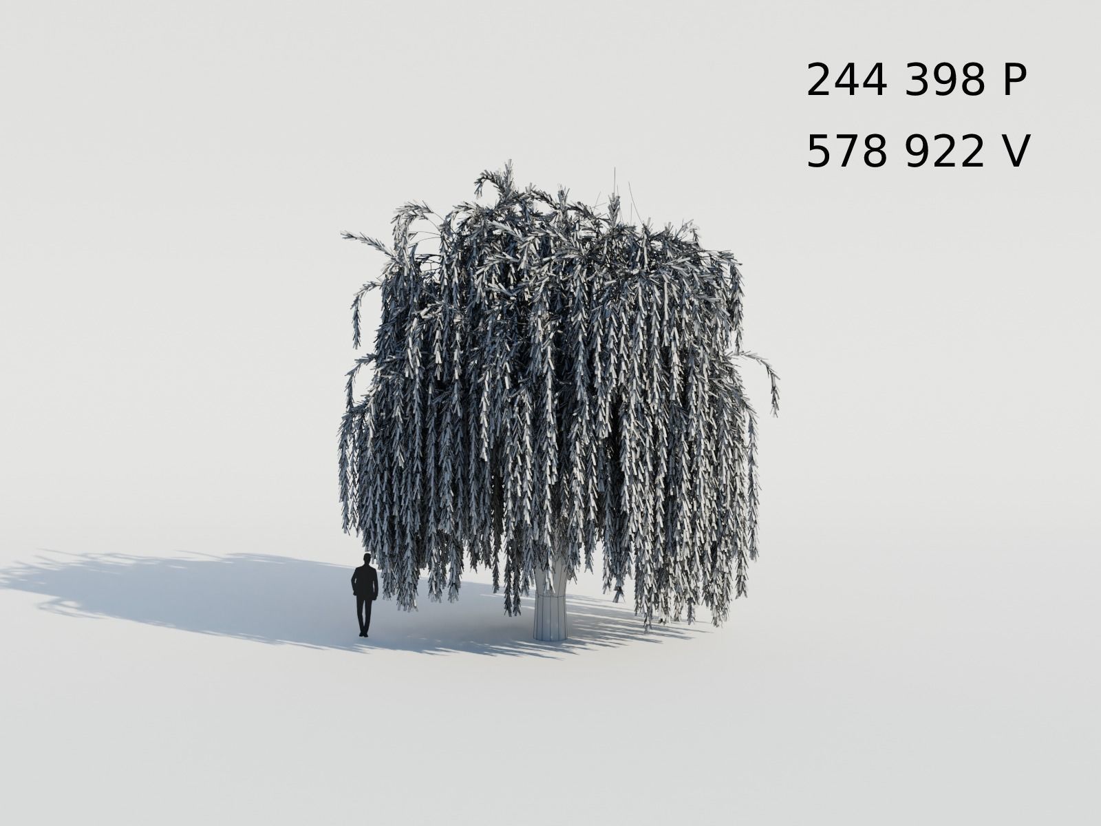 Weeping Willow Tree 3D model_4