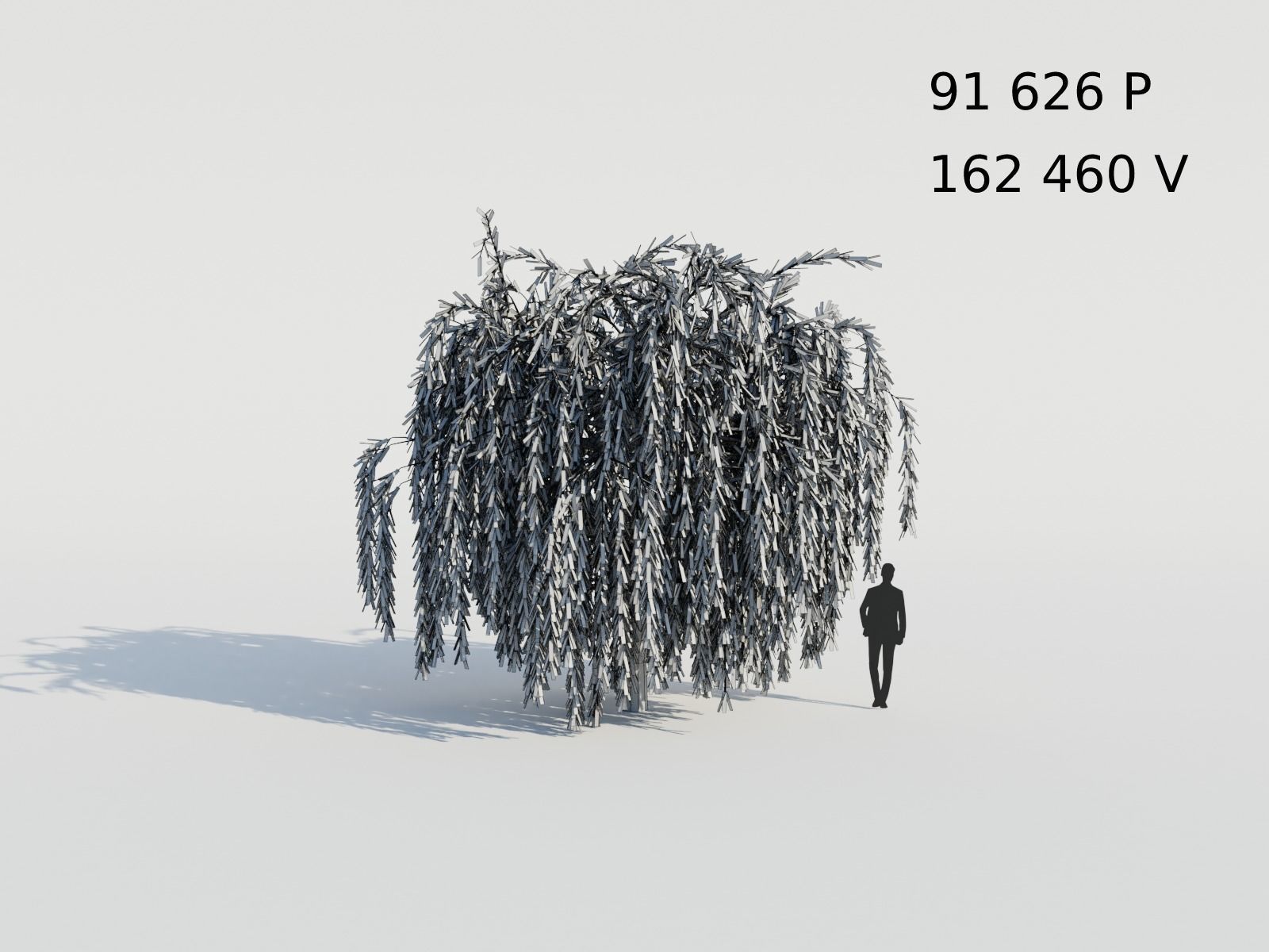 Weeping Willow Tree 3D model_8