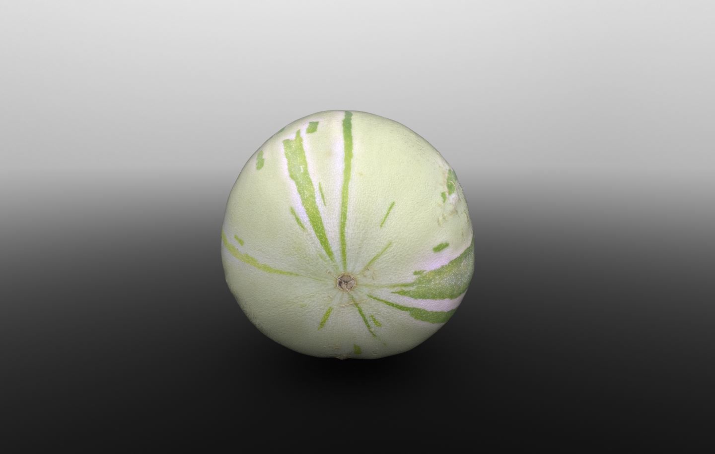 Baby Sugar Melon 3D Scan for Unreal and Unity and FBX Low-poly 3D model_9