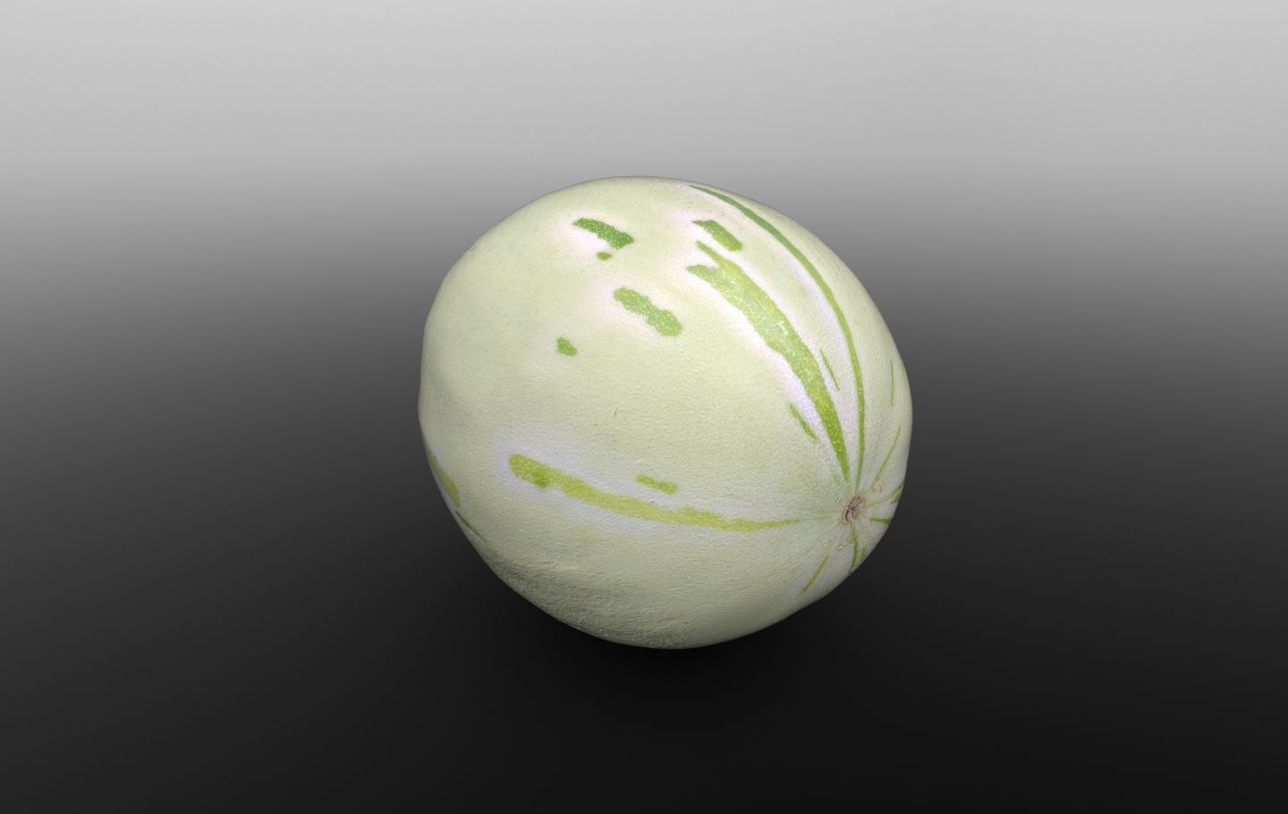 Baby Sugar Melon 3D Scan for Unreal and Unity and FBX Low-poly 3D model_8