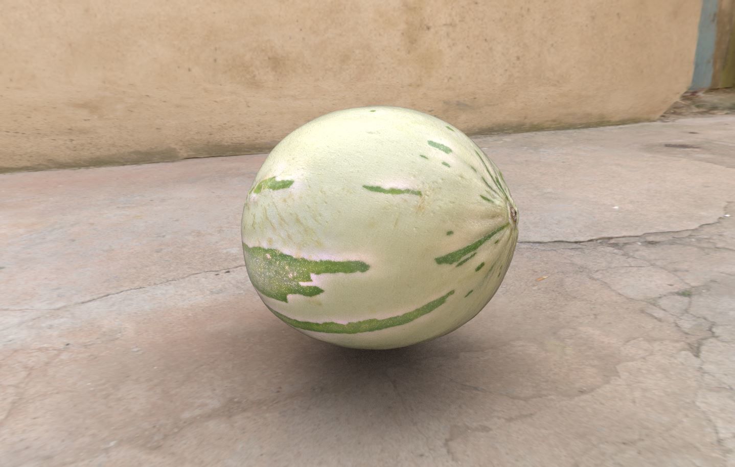 Baby Sugar Melon 3D Scan for Unreal and Unity and FBX Low-poly 3D model_12