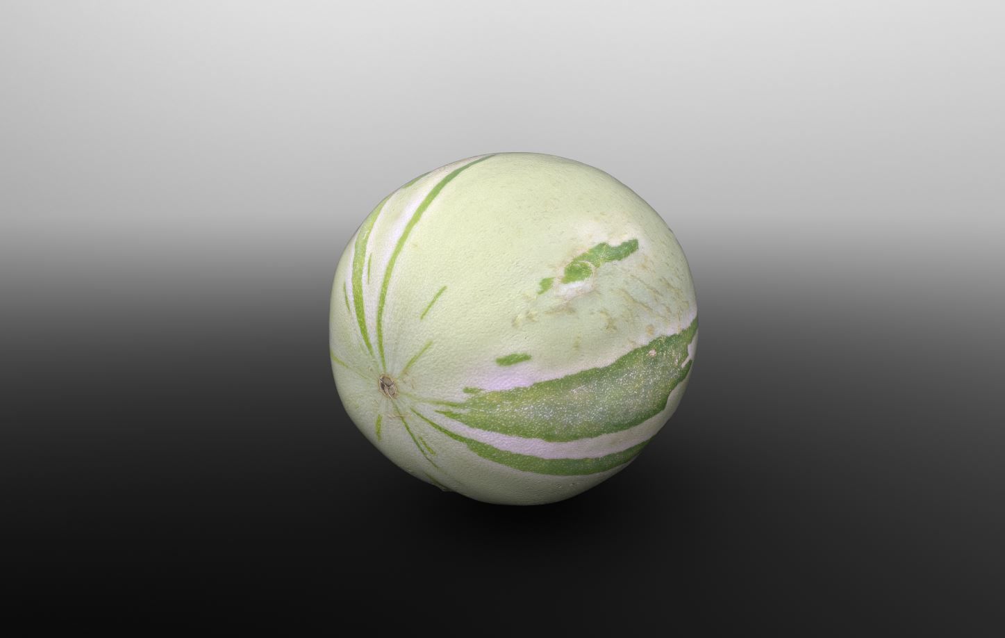Baby Sugar Melon 3D Scan for Unreal and Unity and FBX Low-poly 3D model_10