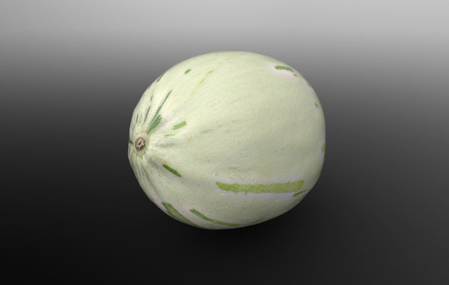 Baby Sugar Melon 3D Scan for Unreal and Unity and FBX Low-poly 3D model_5