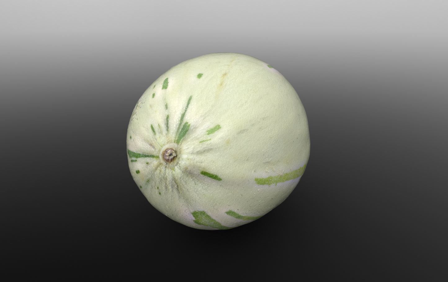 Baby Sugar Melon 3D Scan for Unreal and Unity and FBX Low-poly 3D model_4