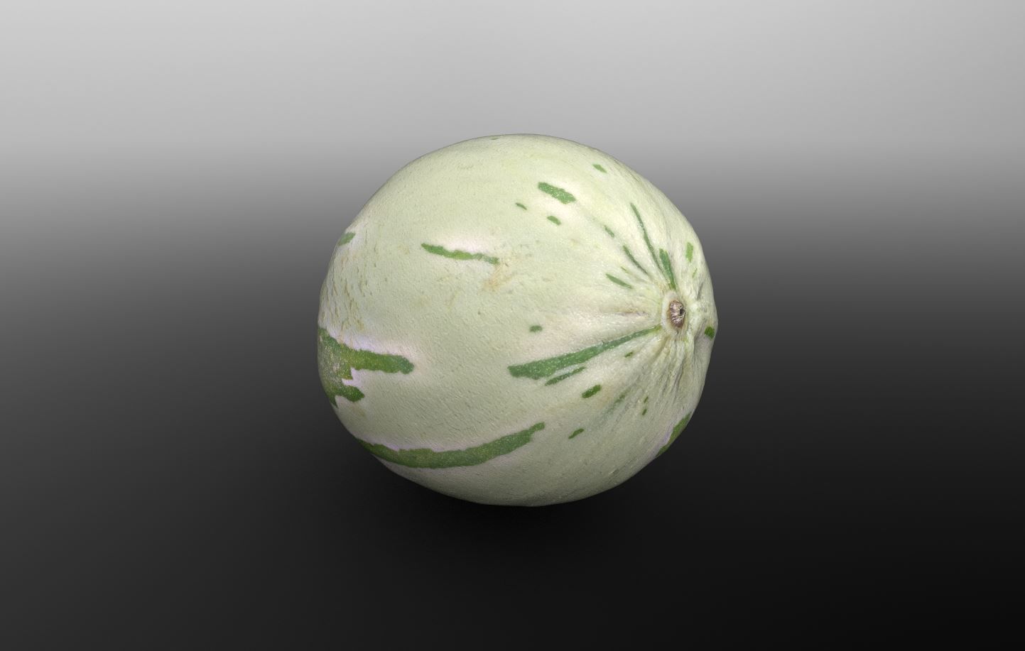 Baby Sugar Melon 3D Scan for Unreal and Unity and FBX Low-poly 3D model_2