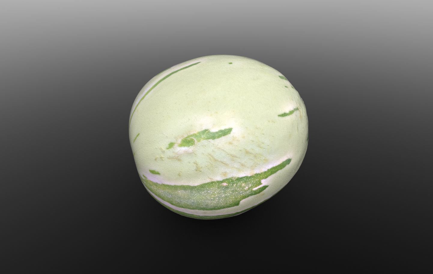Baby Sugar Melon 3D Scan for Unreal and Unity and FBX Low-poly 3D model_11