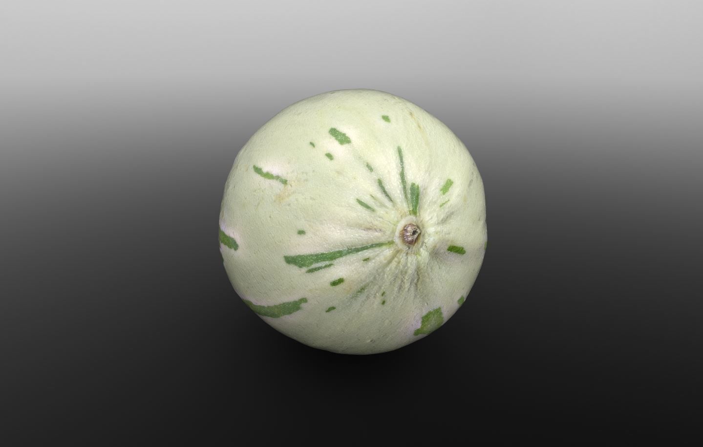 Baby Sugar Melon 3D Scan for Unreal and Unity and FBX Low-poly 3D model_3
