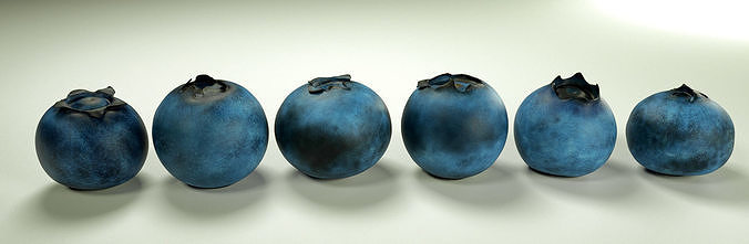 Blueberries 3D model 2