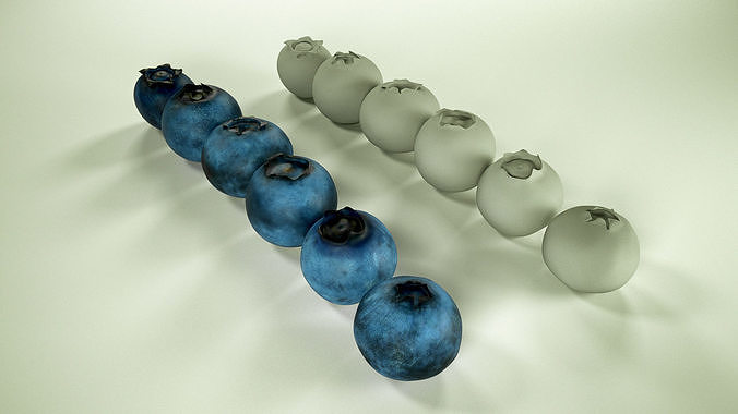 Blueberries 3D model 4