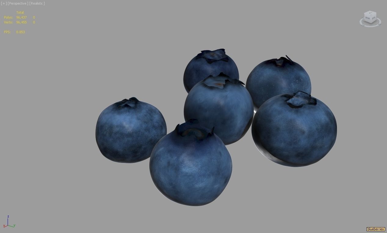 Blueberries 3D model_4