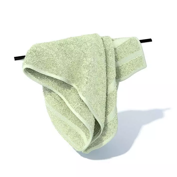 Soft Green Towel 3D model_0