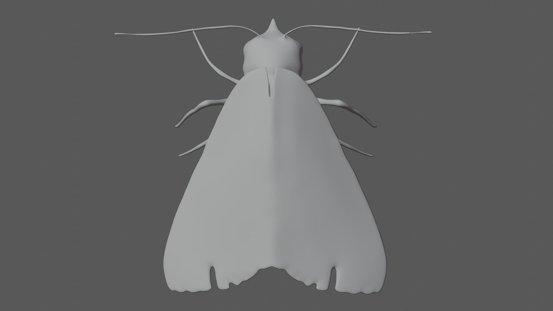 Moth butterfly Low-poly 3D model_7