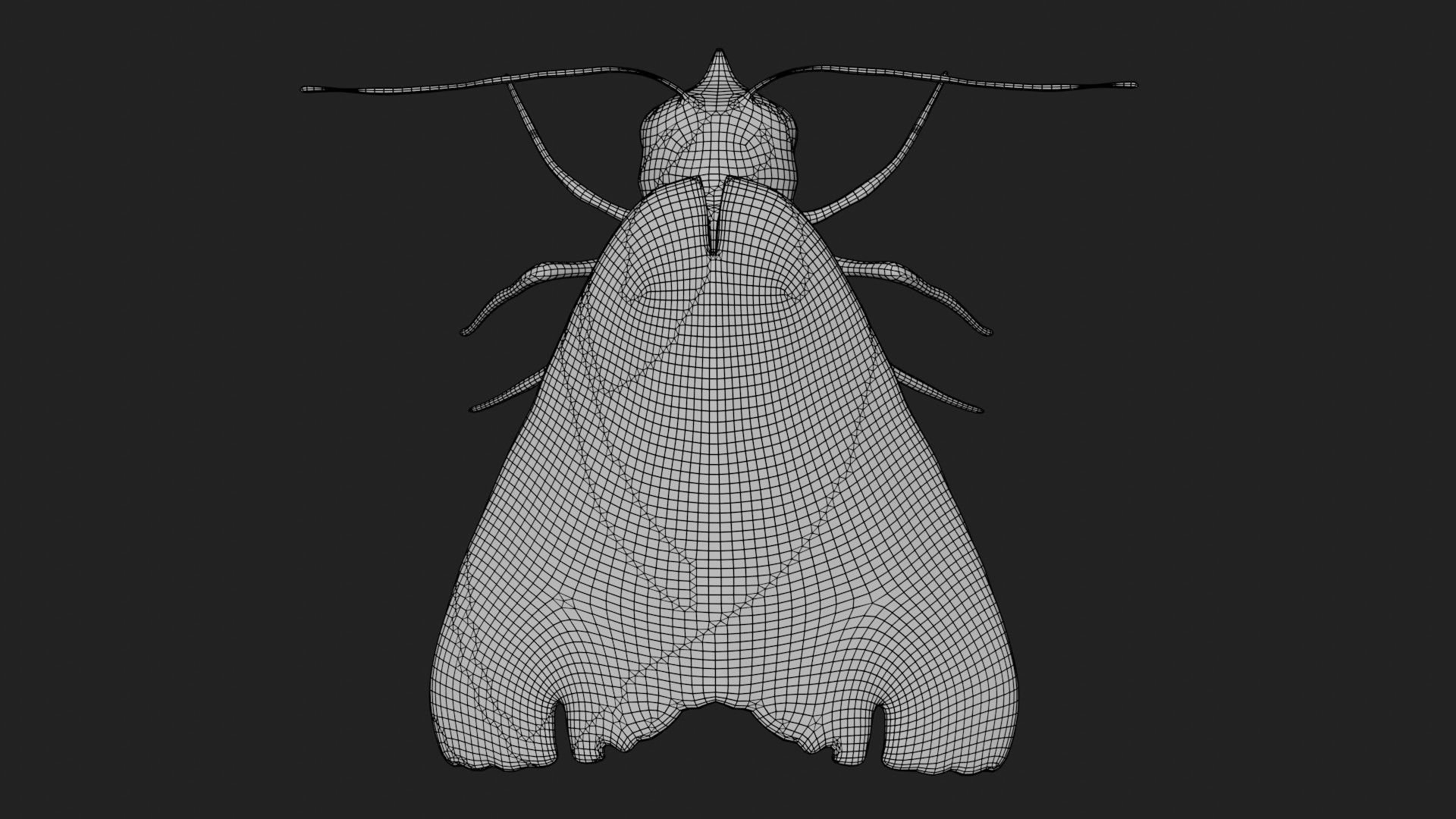 Moth butterfly Low-poly 3D model_9