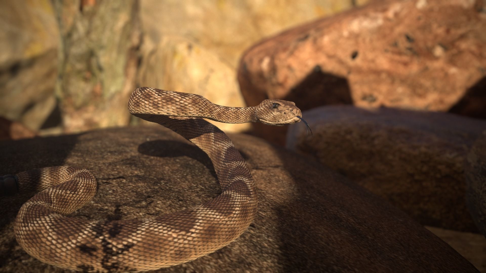 Rattlesnake Low-poly 3D model_7
