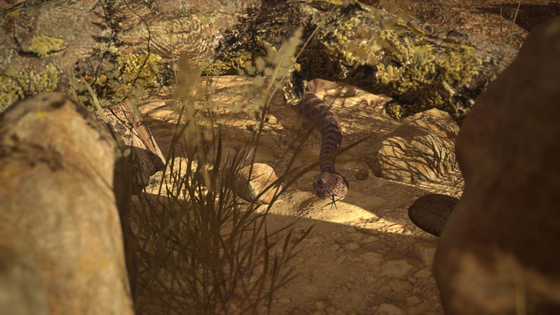 Rattlesnake Low-poly 3D model_26