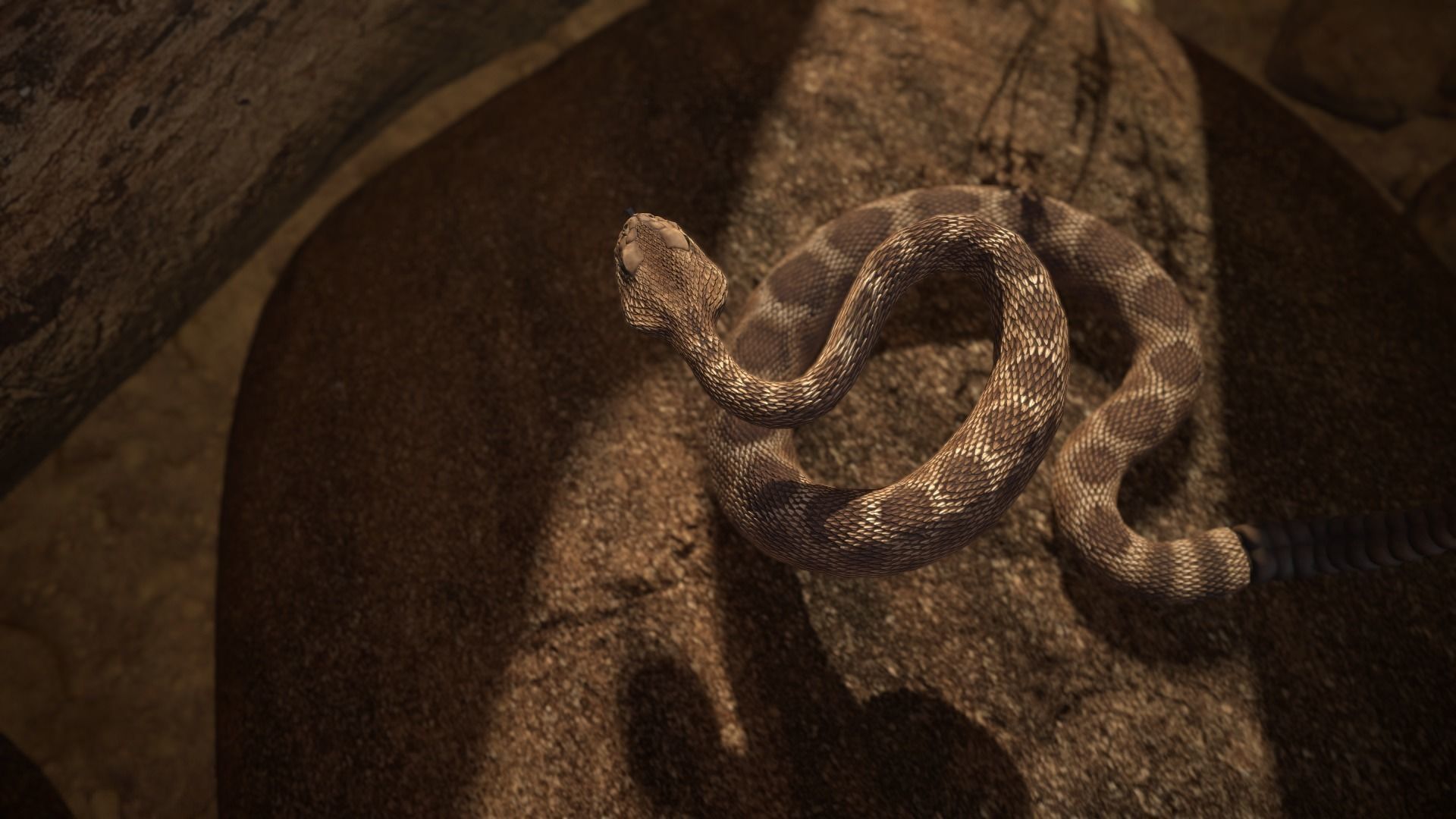 Rattlesnake Low-poly 3D model_15