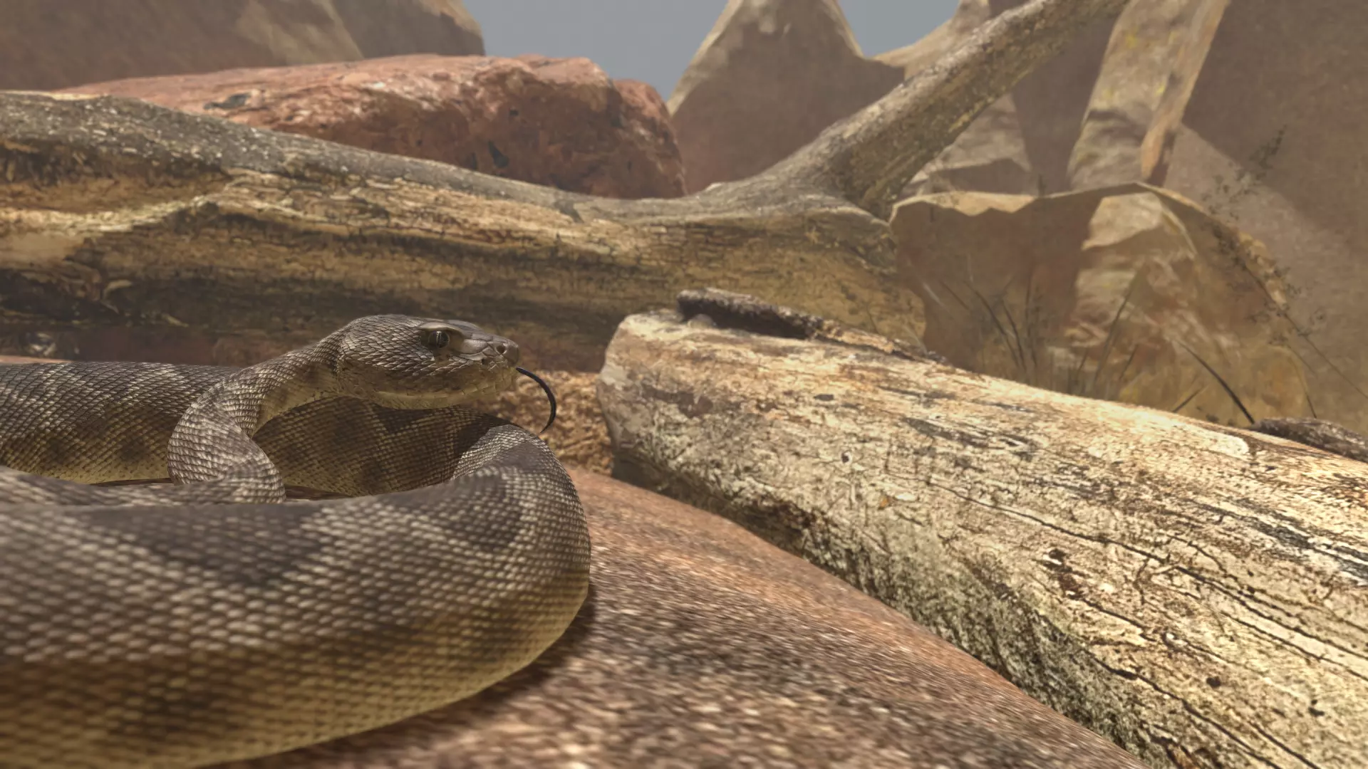 Rattlesnake Low-poly 3D model_40