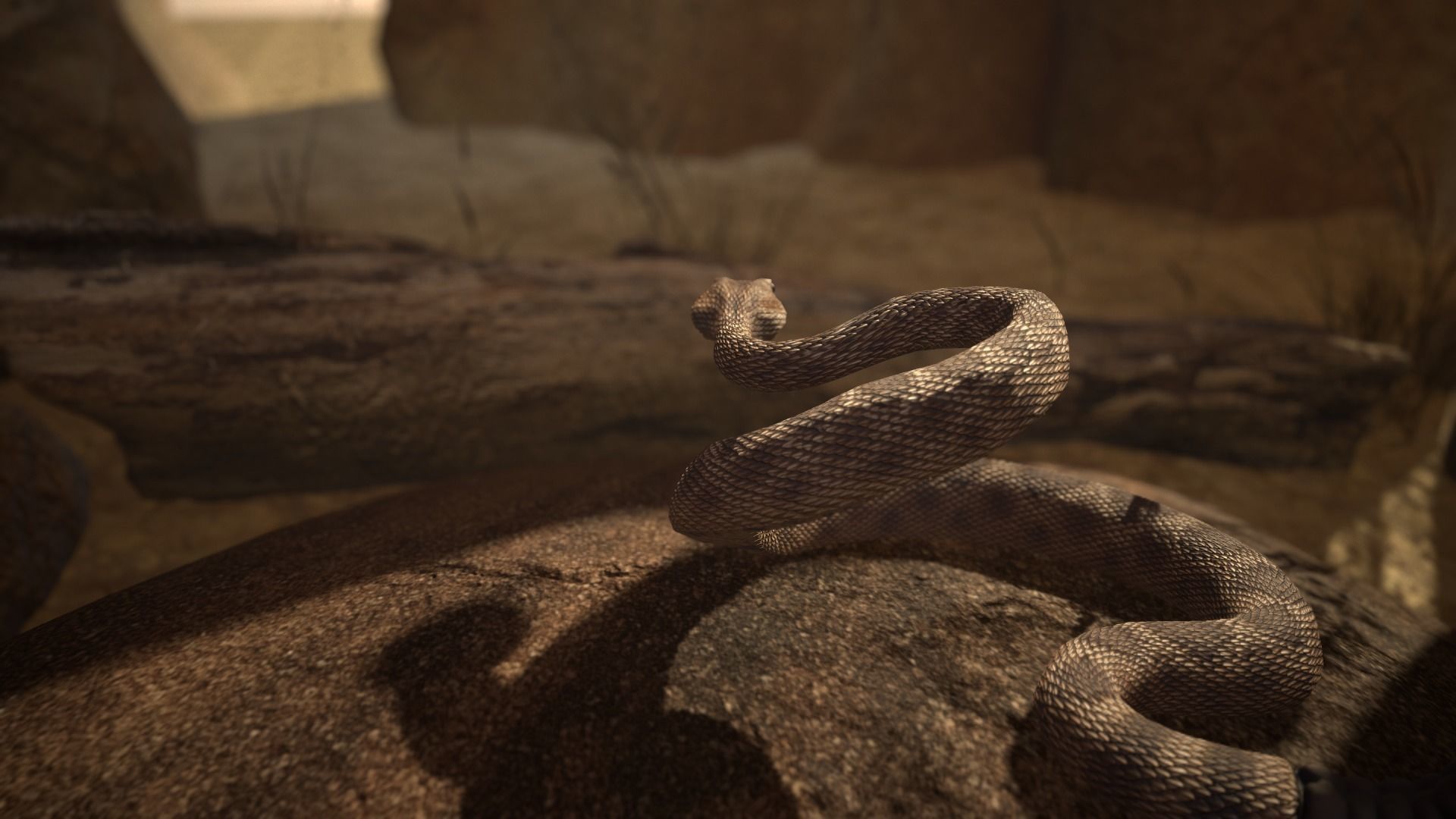 Rattlesnake Low-poly 3D model_14