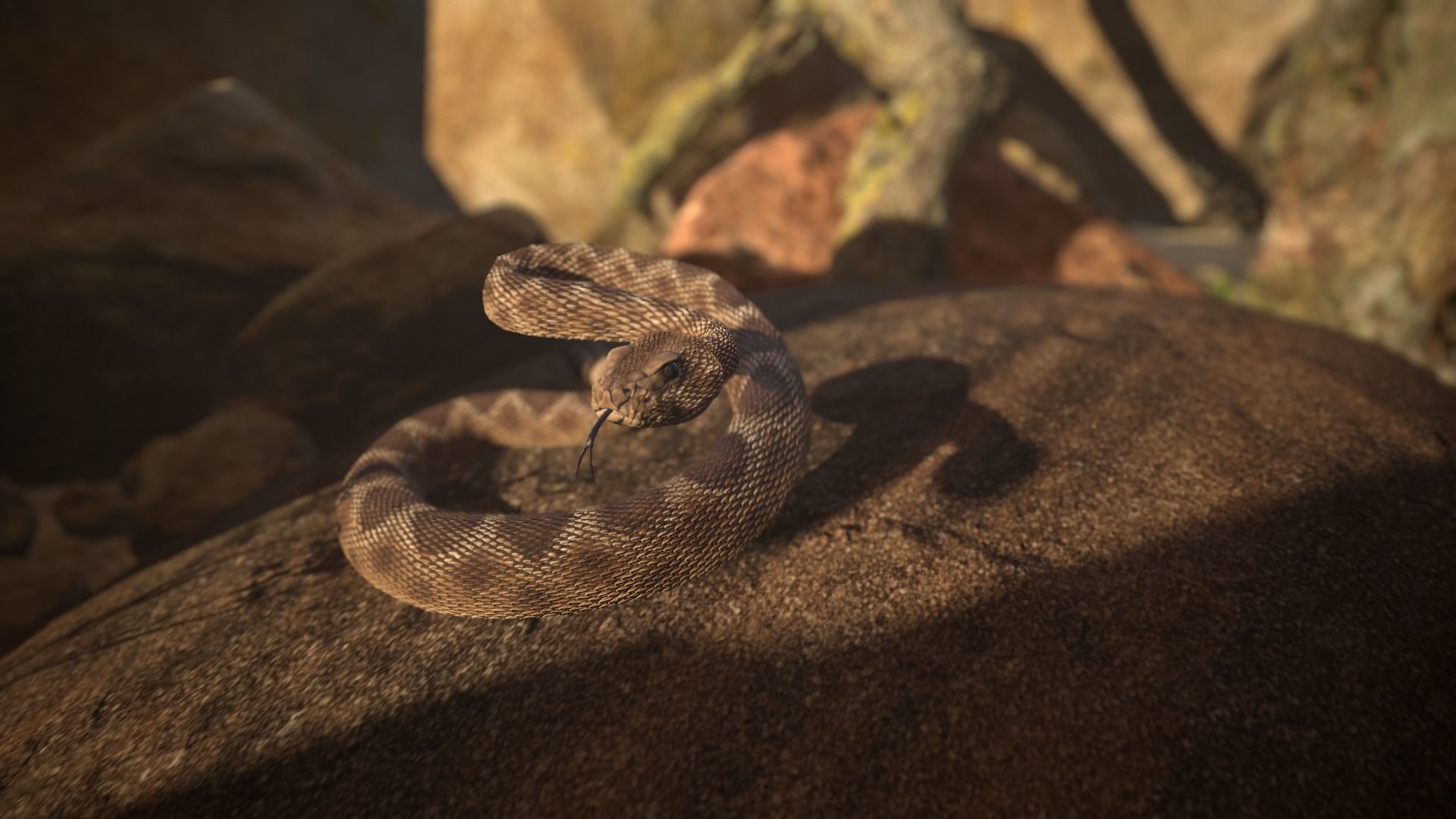 Rattlesnake Low-poly 3D model_17