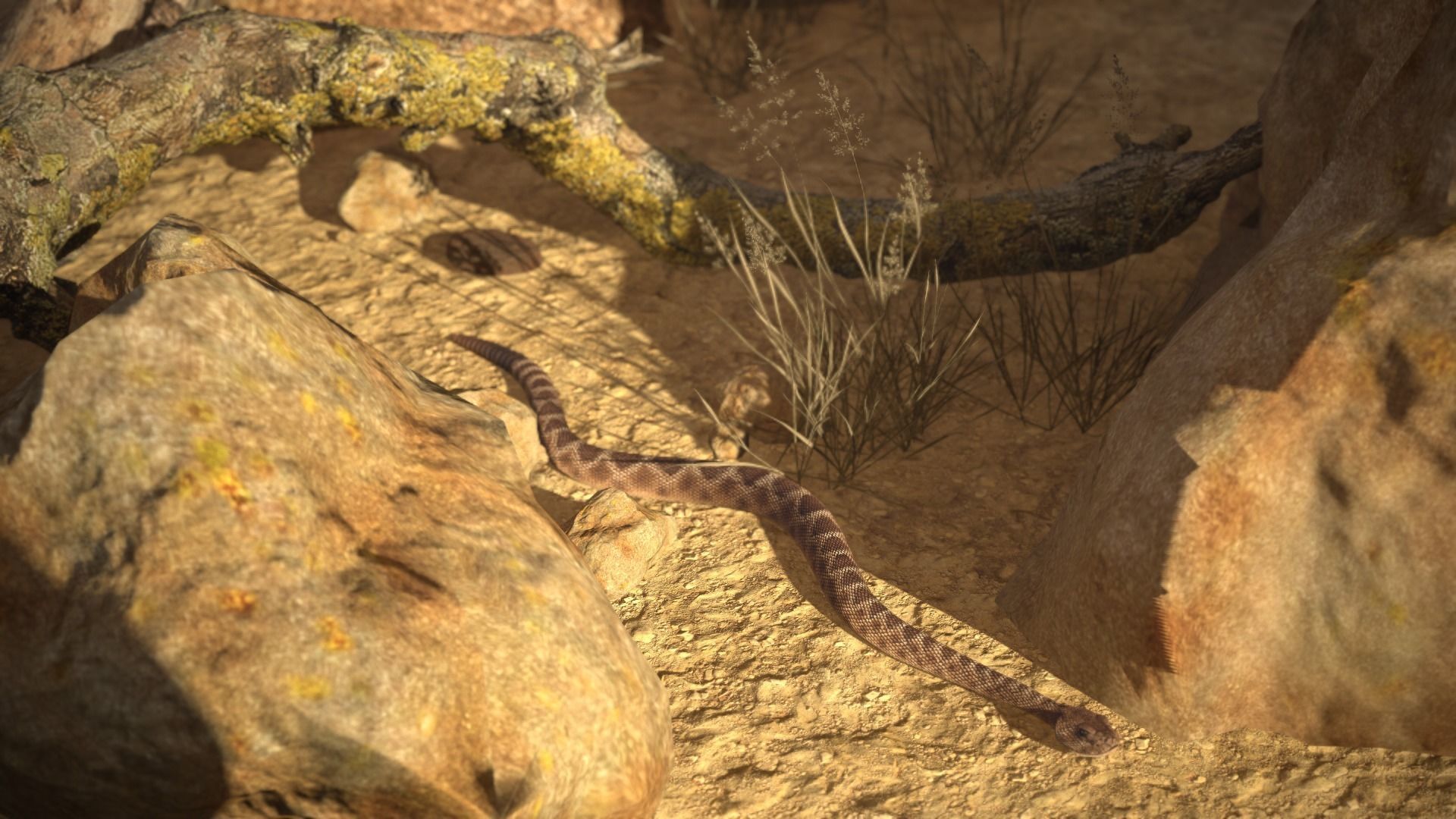 Rattlesnake Low-poly 3D model_21