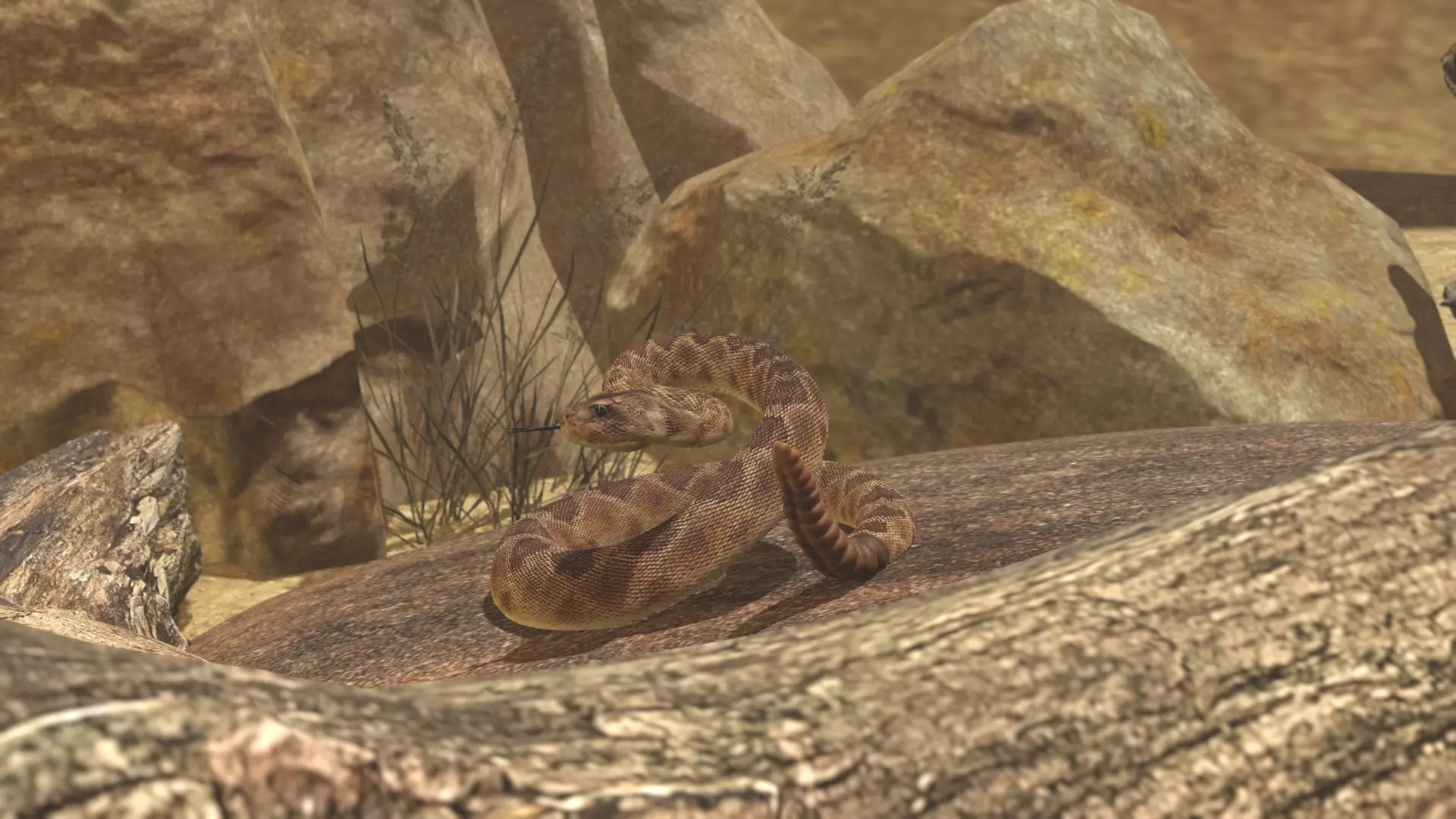 Rattlesnake Low-poly 3D model_41