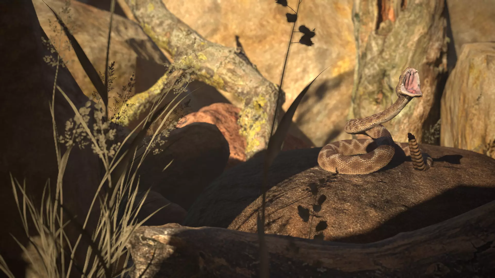 Rattlesnake Low-poly 3D model_42